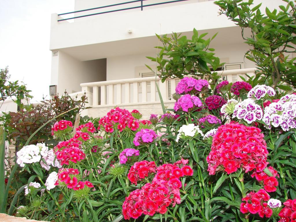 Villa Fio - Hvar Хвар Екстериор снимка